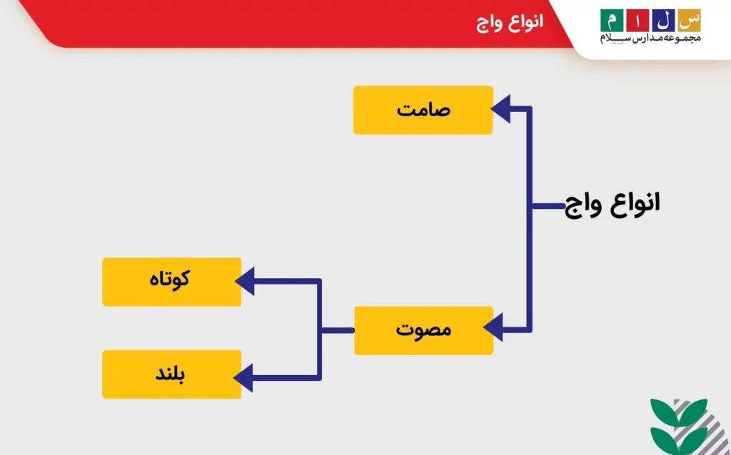 صامت و مصوت در انواع واج