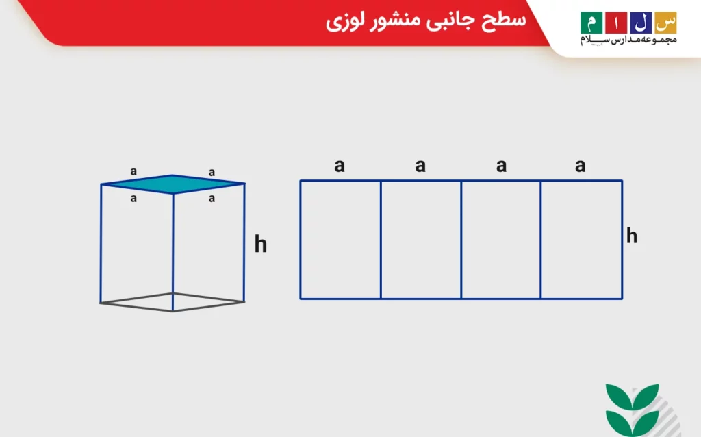 سطح جانبی منشور لوزی