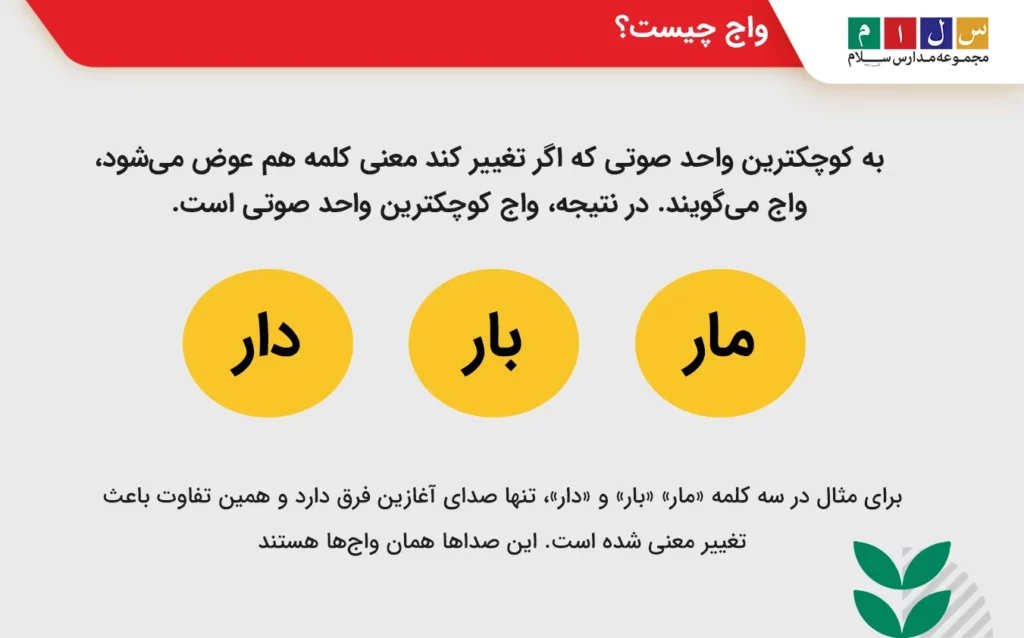 نقش واج در صامت و مصوت