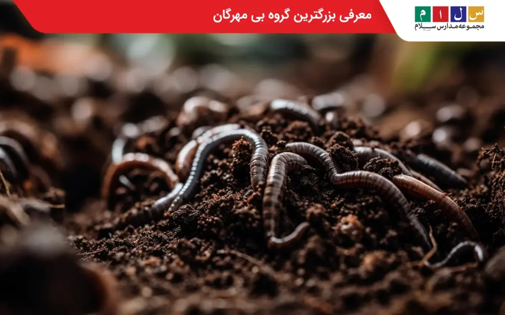 معرفی بزرگترین گروه بی مهرگان