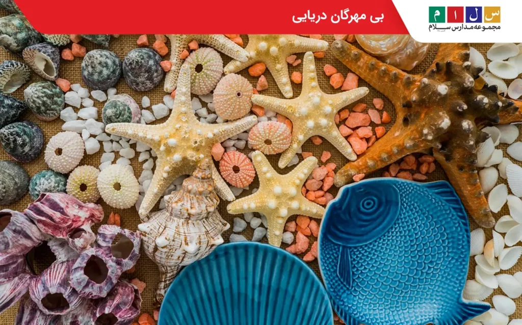 بی مهرگان دریایی کدام هستند؟