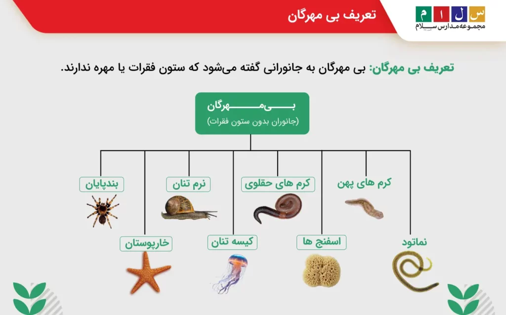 تعریف بی مهرگان کلاس سوم