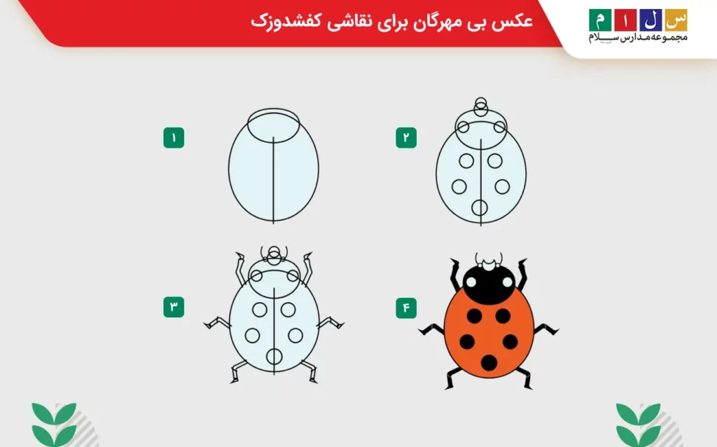 عکس بی مهرگان برای نقاشی کفشدوزک