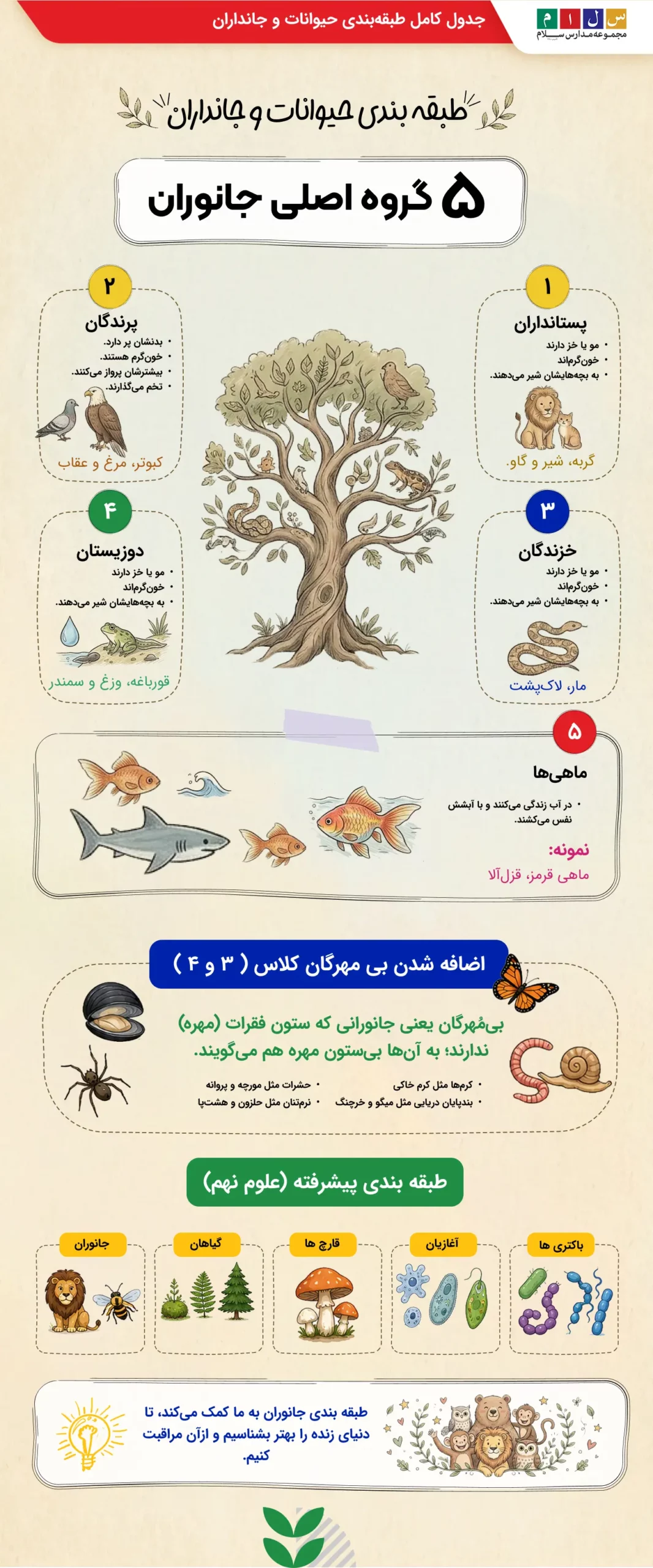 طبقه بندی حیوانات و جانداران
از کلاس اول تا علوم نهم