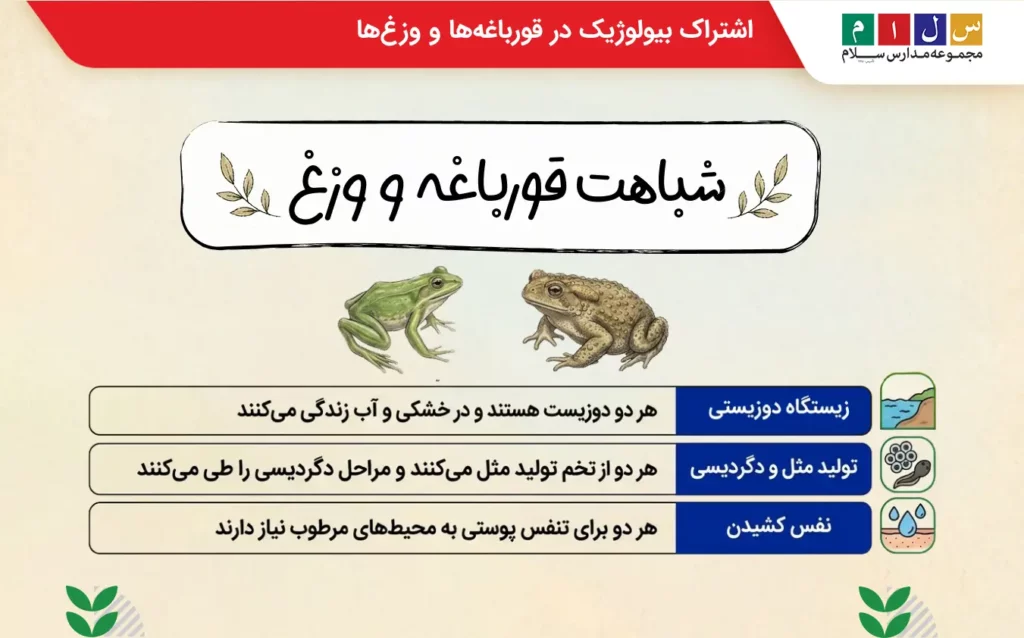 شباهت قورباغه و وزغ چیست؟