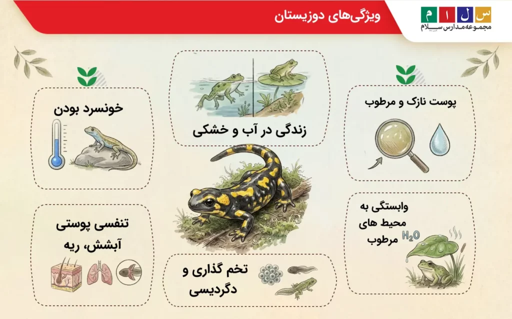 نکات مهم برای تحقیق کامل درباره دوزیستان