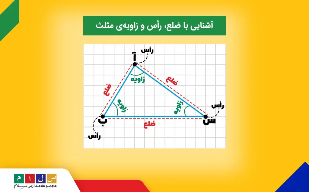 محاسبه مساحت مثلث با مثلثی که ضلع راس و زاویه های آن مشخص شده است.