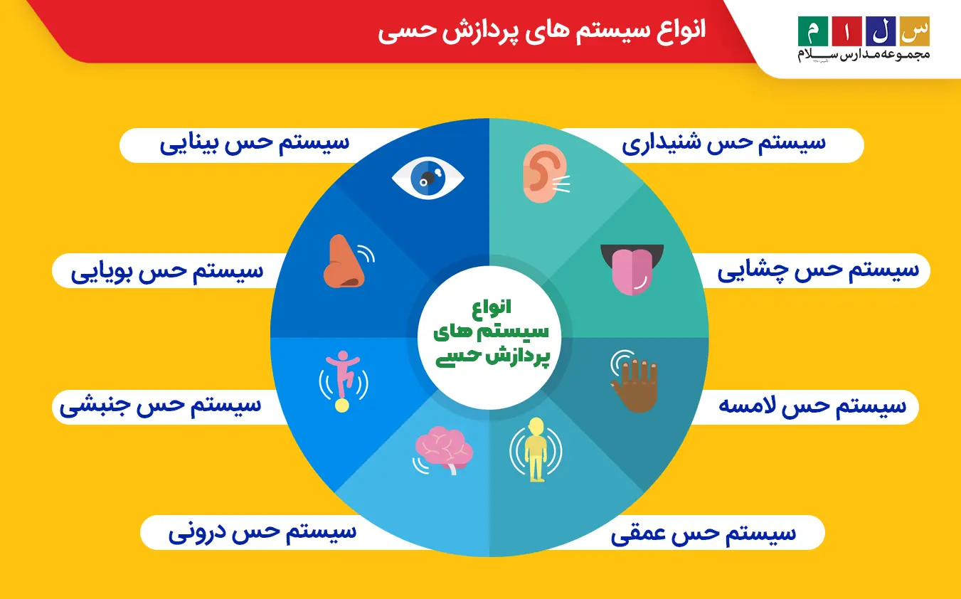 اینفوگرافی انواع پردازش حسی