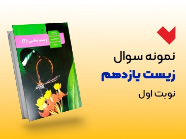 نمونه سوال زیست یازدهم نوبت اول