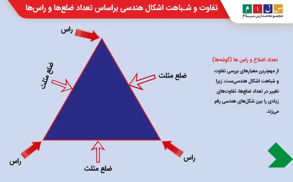  تفاوت و شباهت اشکال هندسی برای تعداد ضلع‌ها و راس‌ها