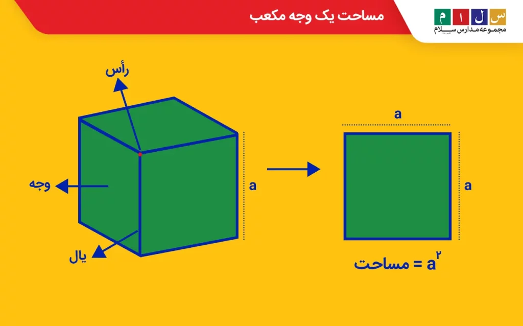 مکعب مربع و مساحت وجه آن
