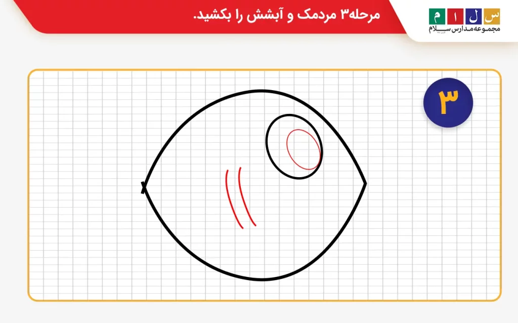 مرحله 3 نقاشی ماهی کوچک 