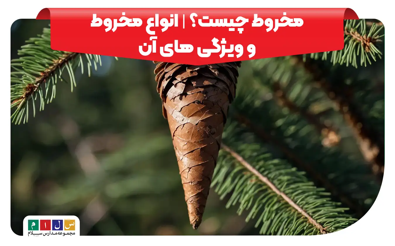 مخروط و ویژگی های آن
