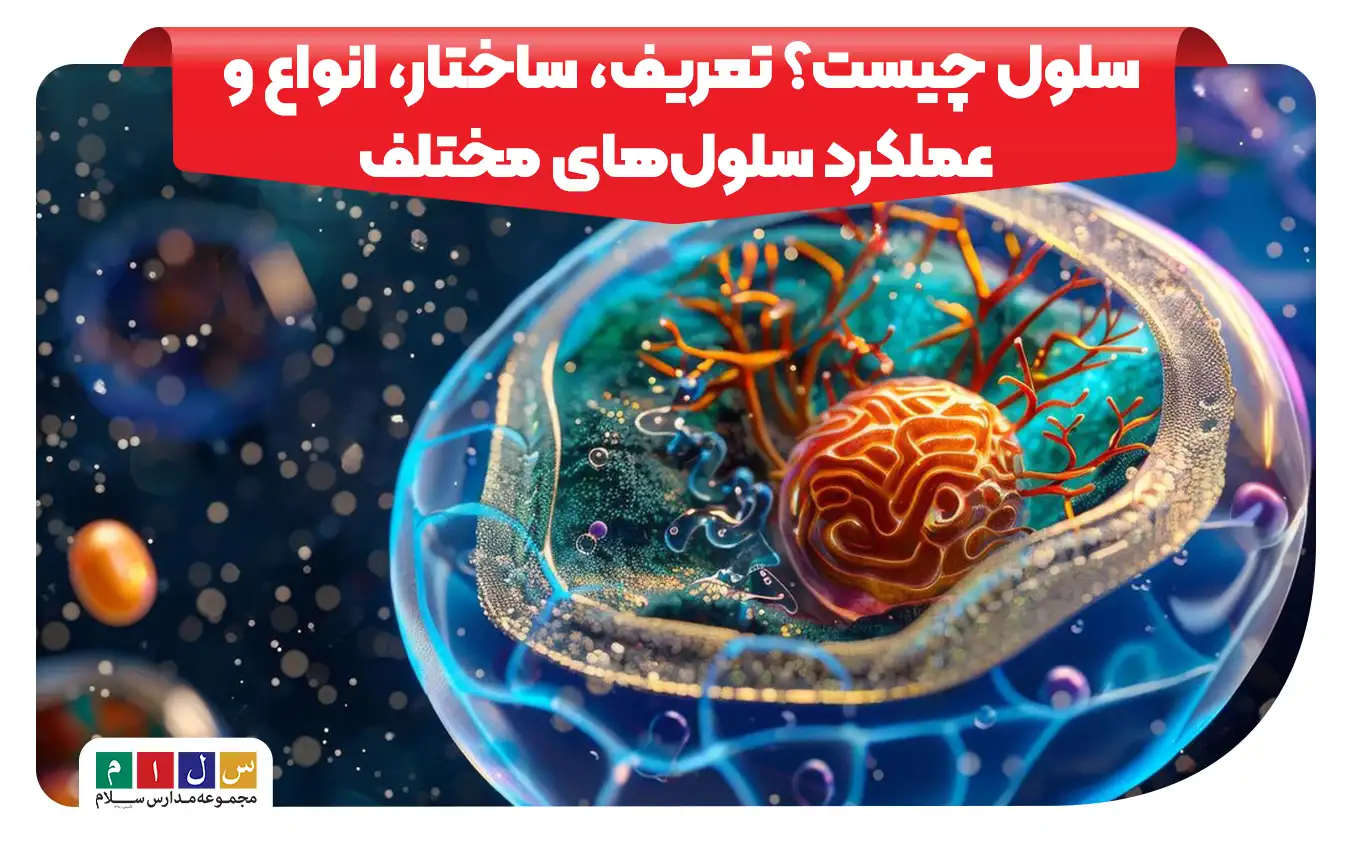 تصویر سلول و اجزای آن شامل هسته، غشا، سیتوپلاسم و اندامک‌ها