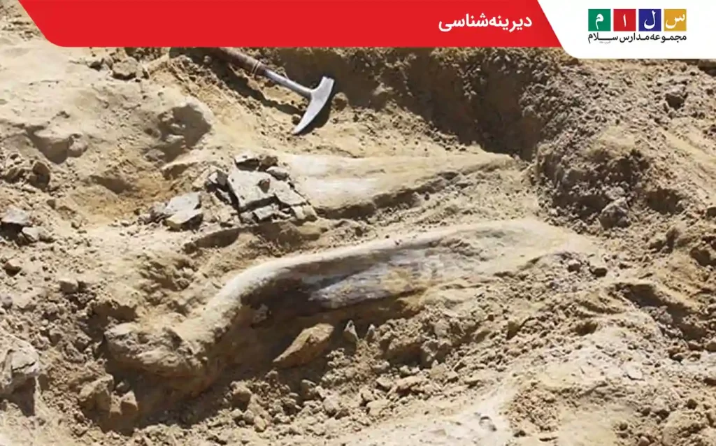  دیرینه شناسی
