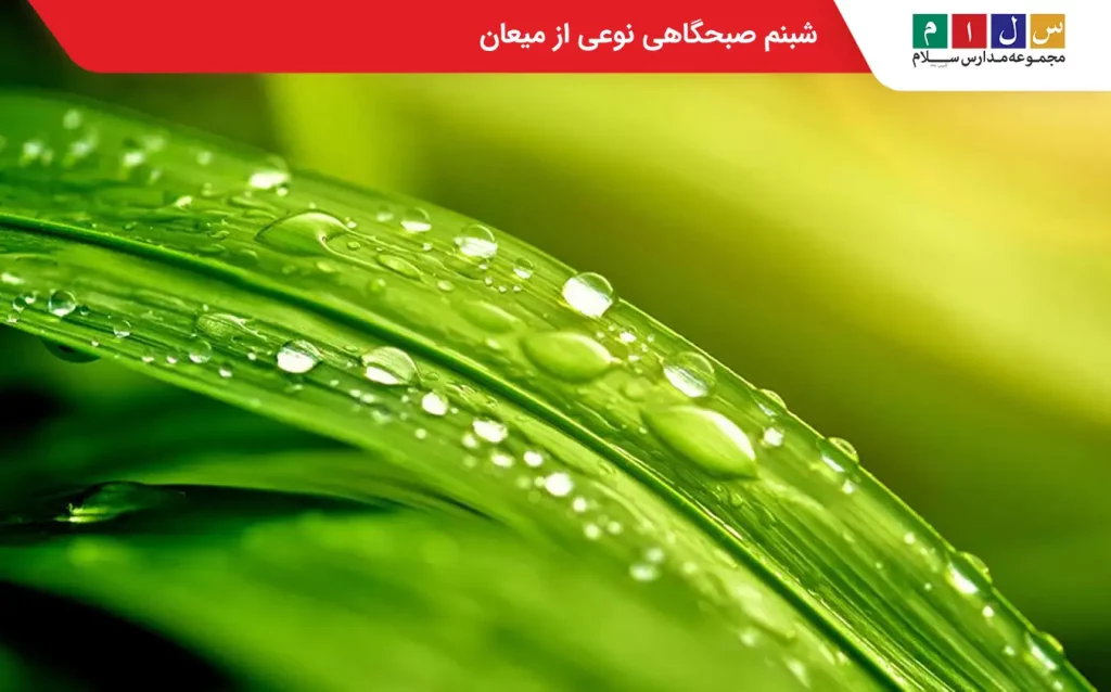 شبنم صبحگاهی از مثال های میعان
