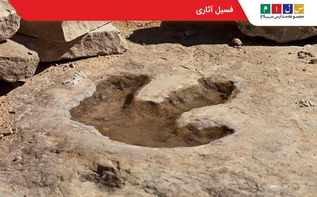 فسیل آثاری
