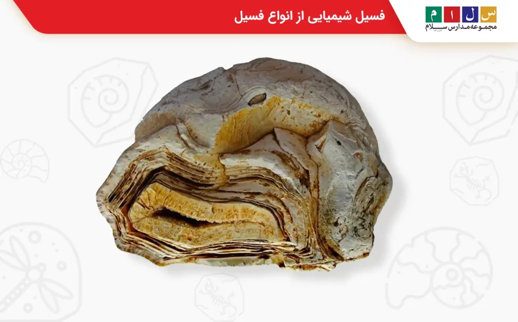 فسیل شیمیایی