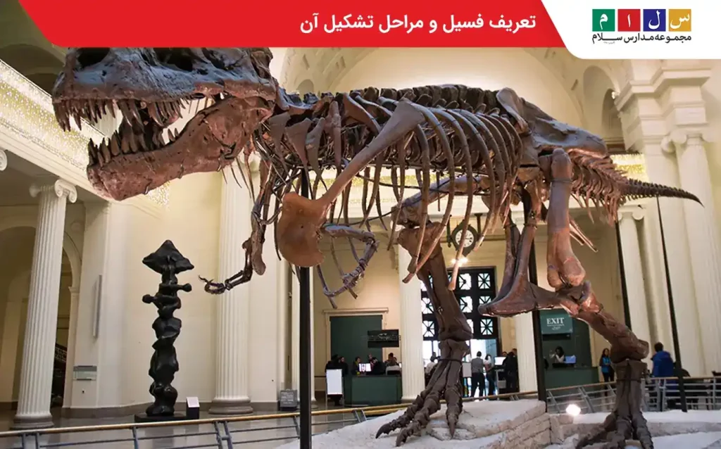 فسیل دایناسور