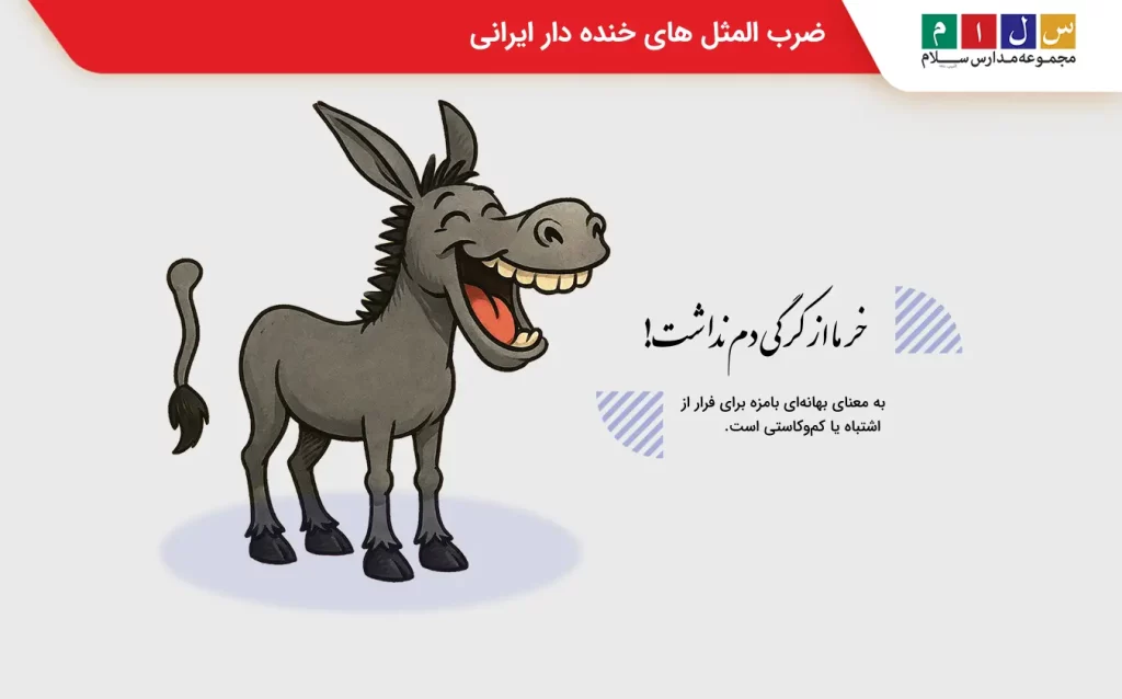 نمونه ضرب المثل های خنده دار ایرانی
