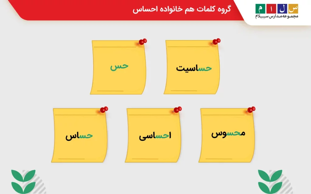 بررسی کلمات هم خانواده احساس