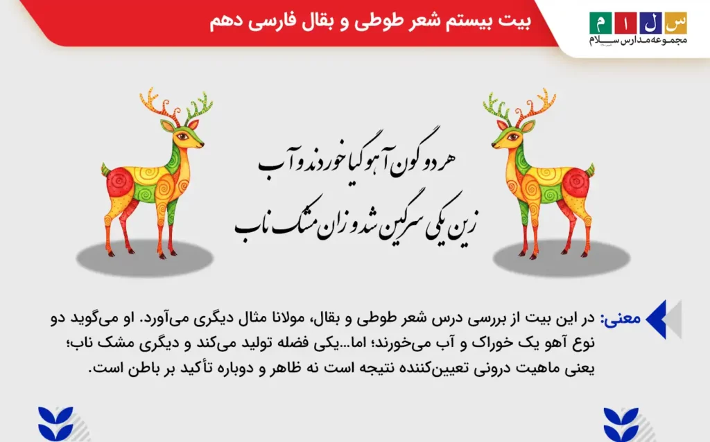 بررسی بیت بیستم از معنی طوطی و بقال