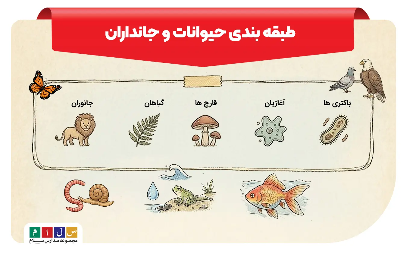 طبقه بندی انواع جانداران