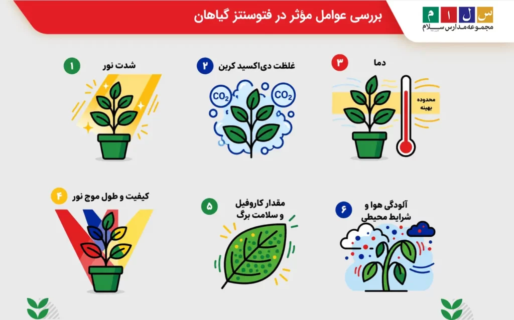 در این عکس عوامل موثر بر فتوسنتز گیاهان به صورت تصویری توضیح داده شده است