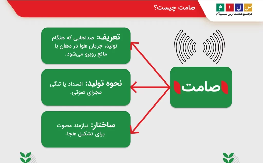 بررسی تعریف صامت و کاربرد آن در هجاسازی