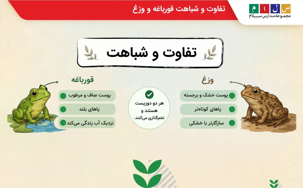 تفاوت و شباهت قورباغه و وزغ