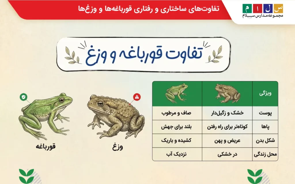 تفاوت قورباغه و وزغ چیست؟