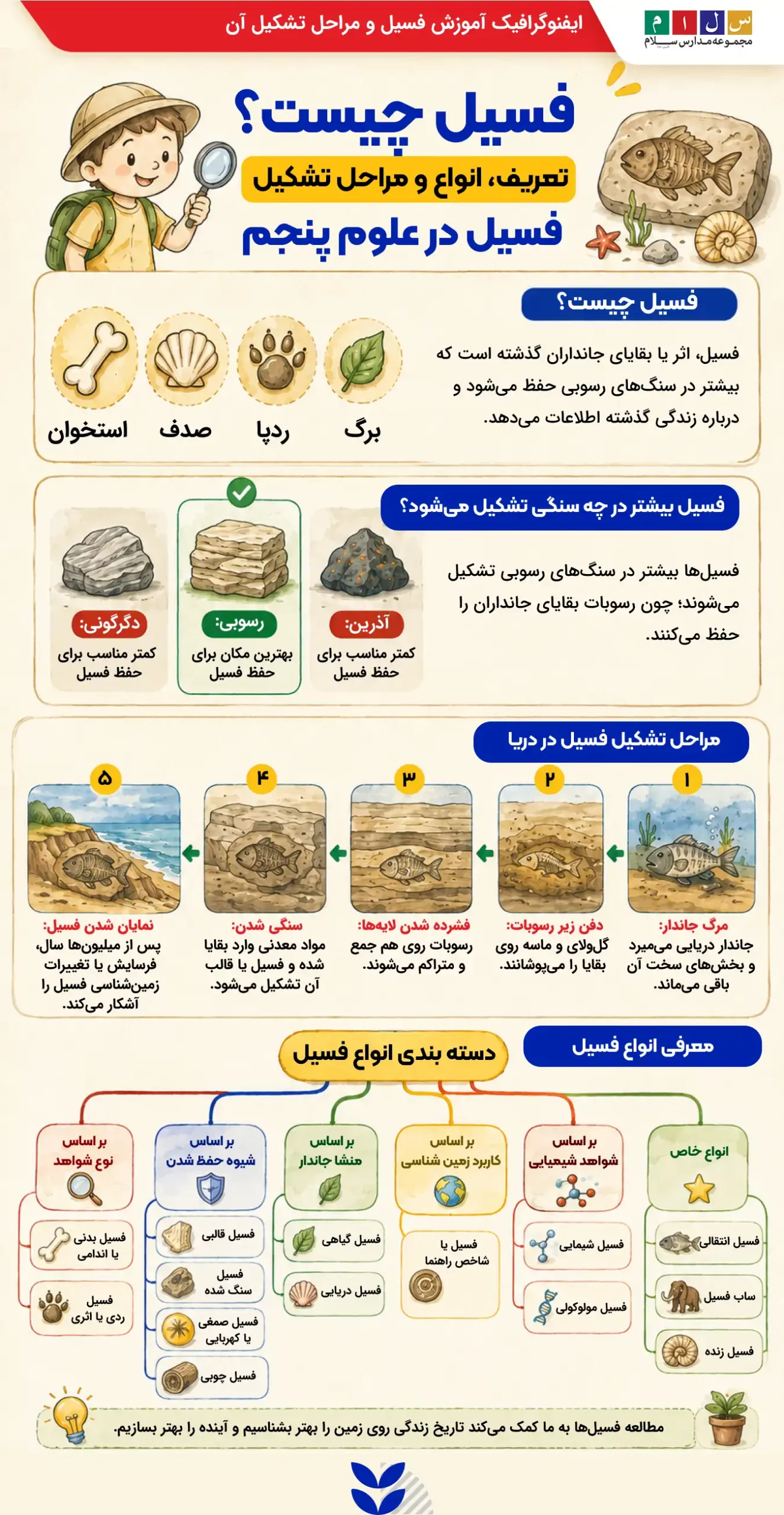 اینفوگرافیک اموزش انواع فسیل و مراحل تسکیل آن