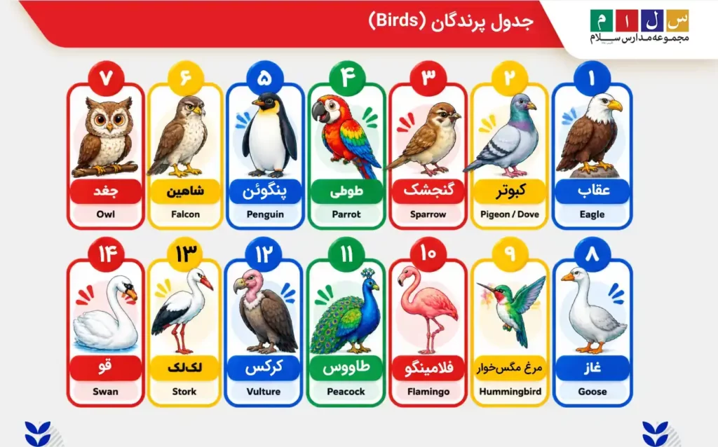 جدول اسامی فارسی و انگلیسی پرندگان (Birds)